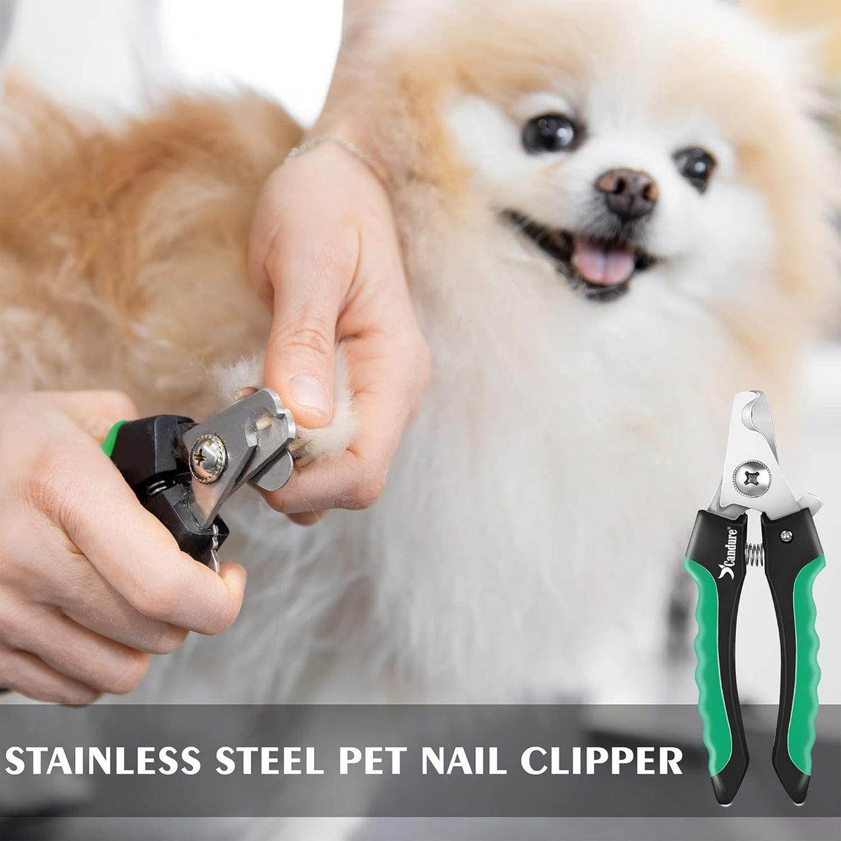 Candure Cat Nail Clippers Stainless Steel Cat Claw Trimmers for Rabbits,Guinea Pigs, Birds, Puppies, Kittens and Small Animals- Pet Nail Clippers for Professional and Home Use (Black) - PuriLite