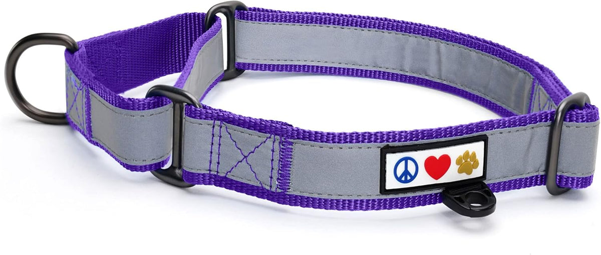 Pawtitas Chain Martingale Dog Collar Puppy Collar Reflective Dog Collar Training Dog Collar Behavioral Dog Chain Collar Collar Large Dog Collar Orange Dog Collar - PuriLite