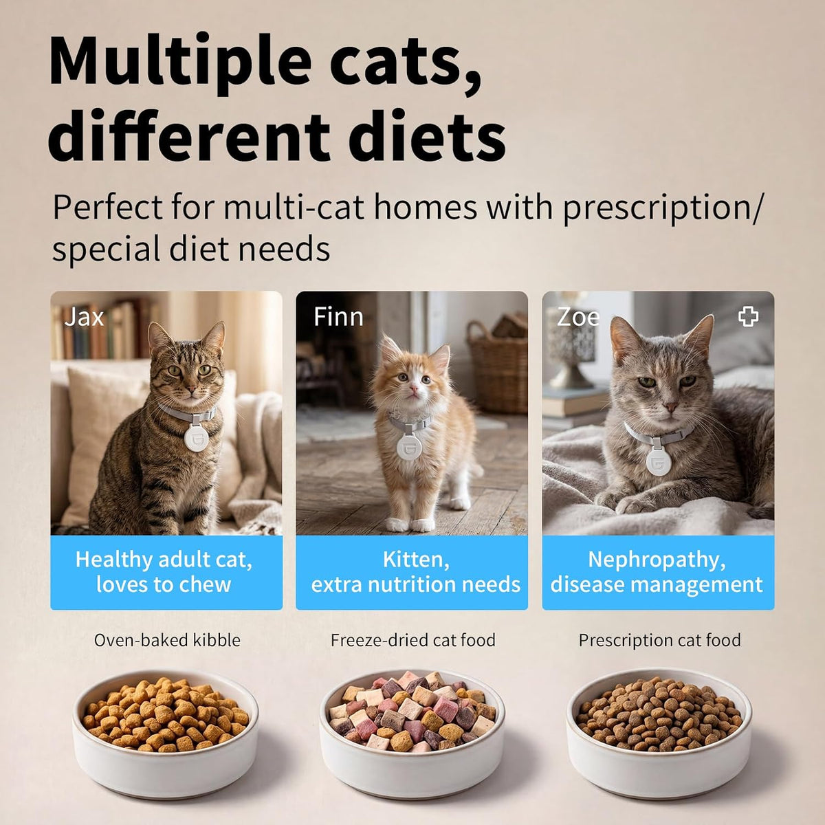 HoneyGuaridan RFID Automatic Cat Feeder, Cat Feeder with Collar Tag Sensor