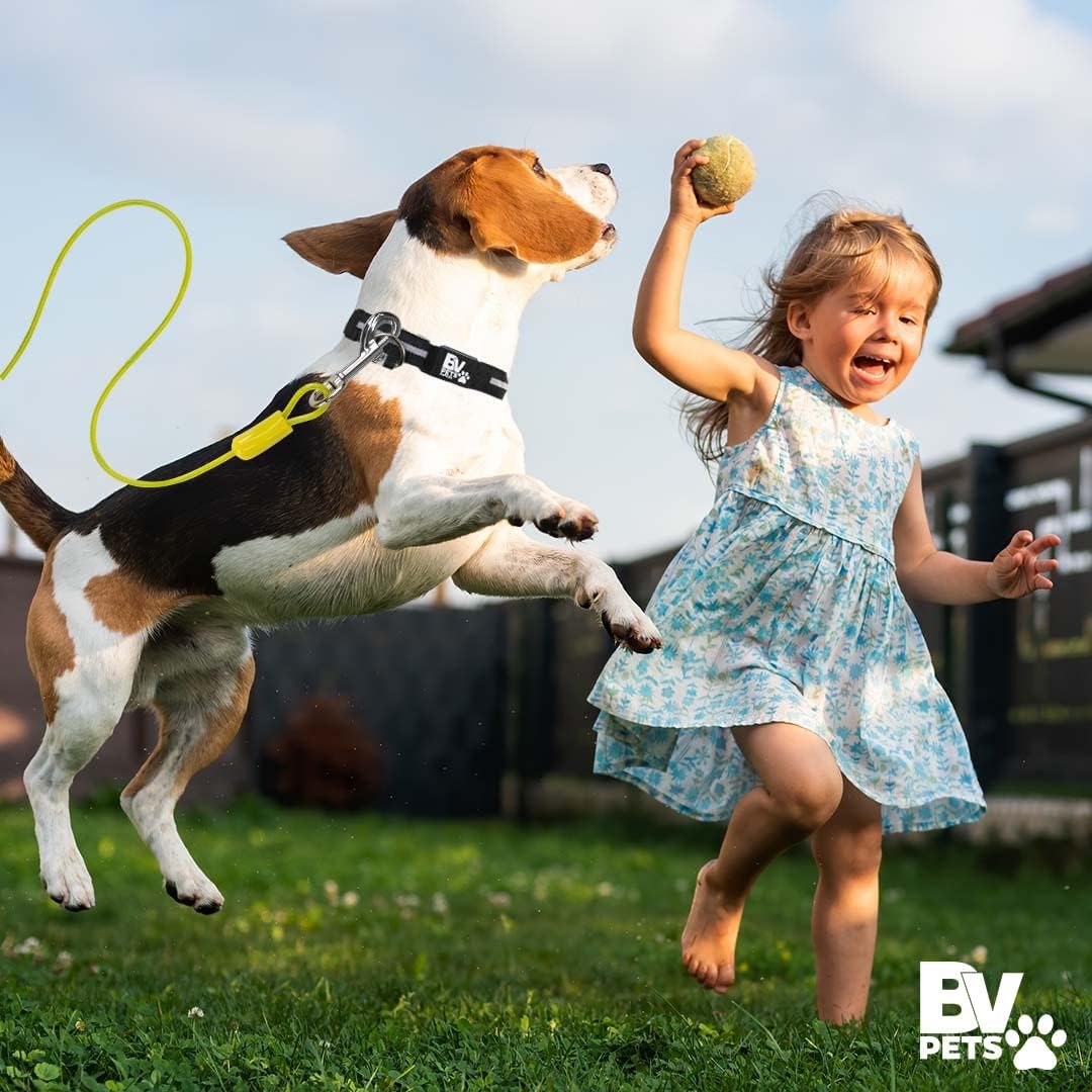 BV Pet Small Tie Out Cable for Dog up to 35 Pound, 25-Feet - PuriLite