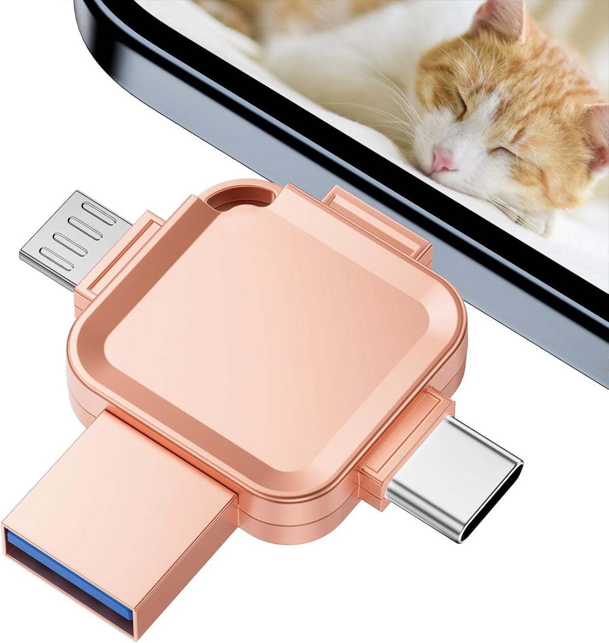 LANSLSY 256GB 4 in 1 Flash Drive for iPhone USB Flash Drive Memory Stick,Silver Photo Stick for iPhone/i- pad/Android/PC - PuriLite