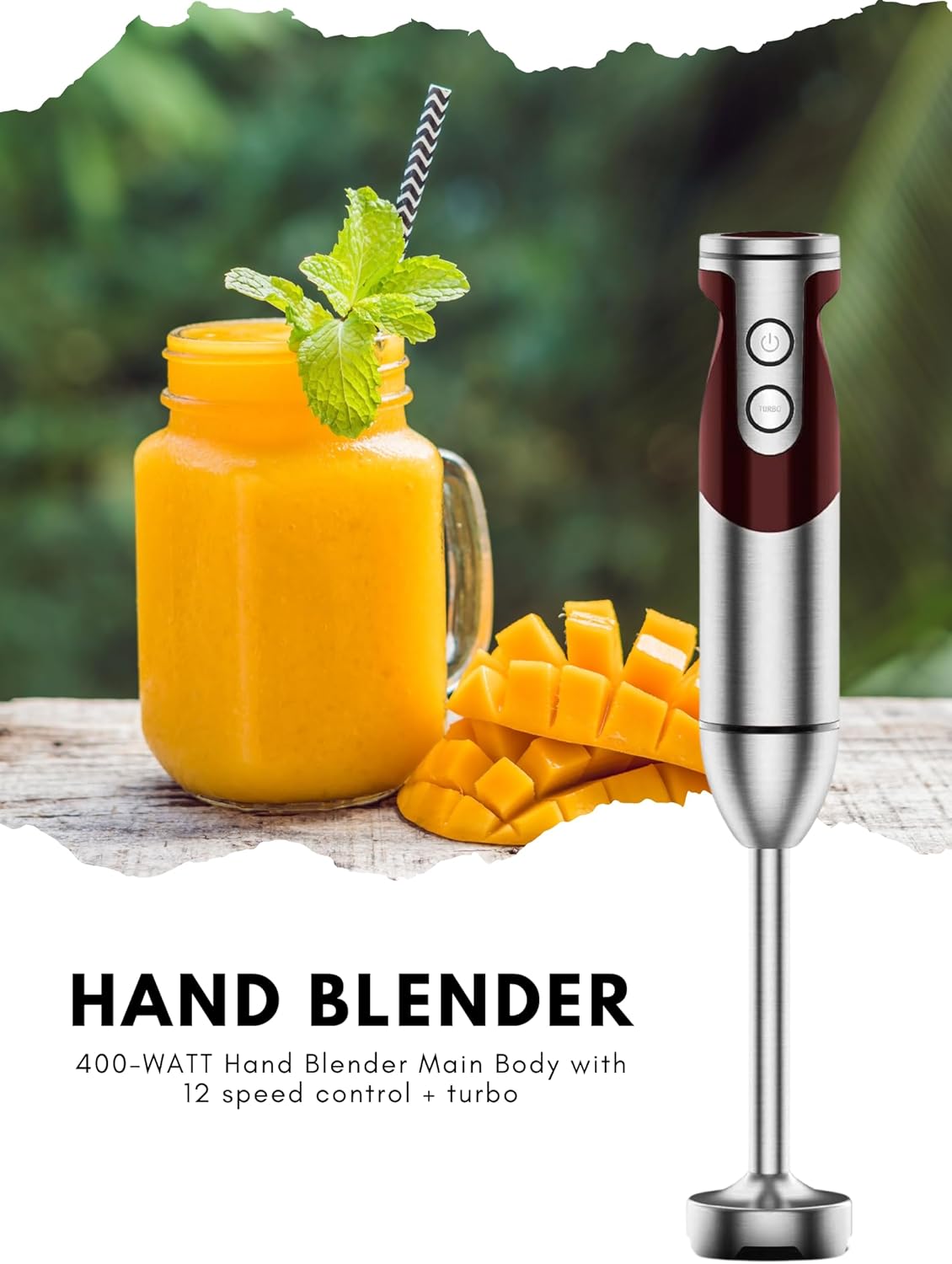MEGAWISE new Hand Blender Series Only one Hand Blender,no attachments,12-Speed,Includes Powerful Blender Stick- Easy to Clean and Perfect for Smoothies, and More (Black) - PuriLite