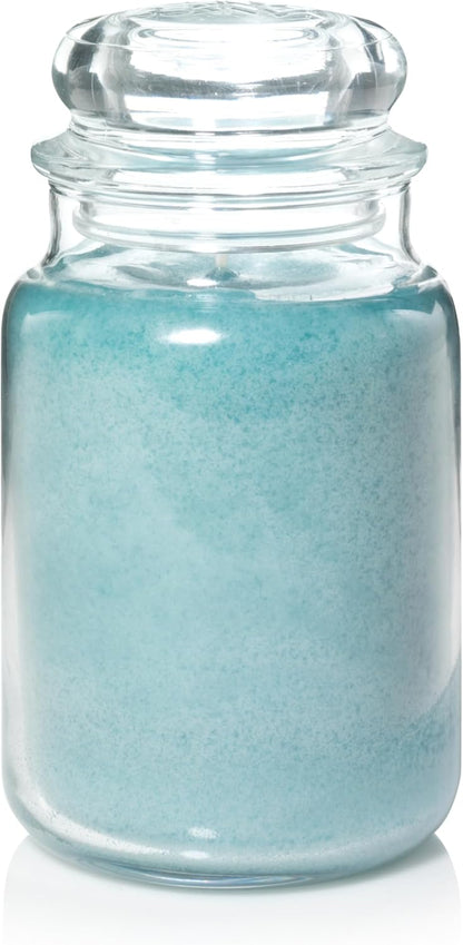 Yankee Candle Scented Candle, Sage & Citrus, Original Large Jar Candle, 110-150 Hours of Burn Time, 22 oz. - PuriLite
