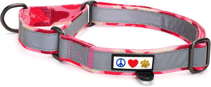 Pawtitas Chain Martingale Dog Collar Puppy Collar Reflective Dog Collar Training Dog Collar Behavioral Dog Chain Collar Collar Large Dog Collar Orange Dog Collar - PuriLite