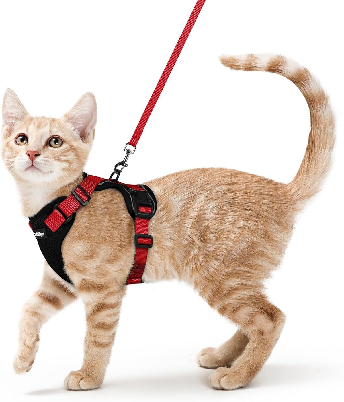 rabbitgoo Cat Harness and Leash for Walking, Escape Proof Soft Adjustable Vest Harnesses for Small Medium Cats, Easy Control Breathable Reflective Strips Jacket, XS, Black - PuriLite