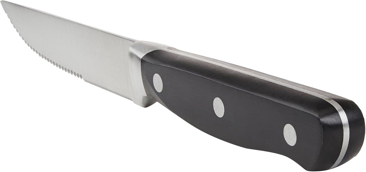 Amazon Basics Premium 8-Piece Kitchen Steak Knife Set, Black - PuriLite