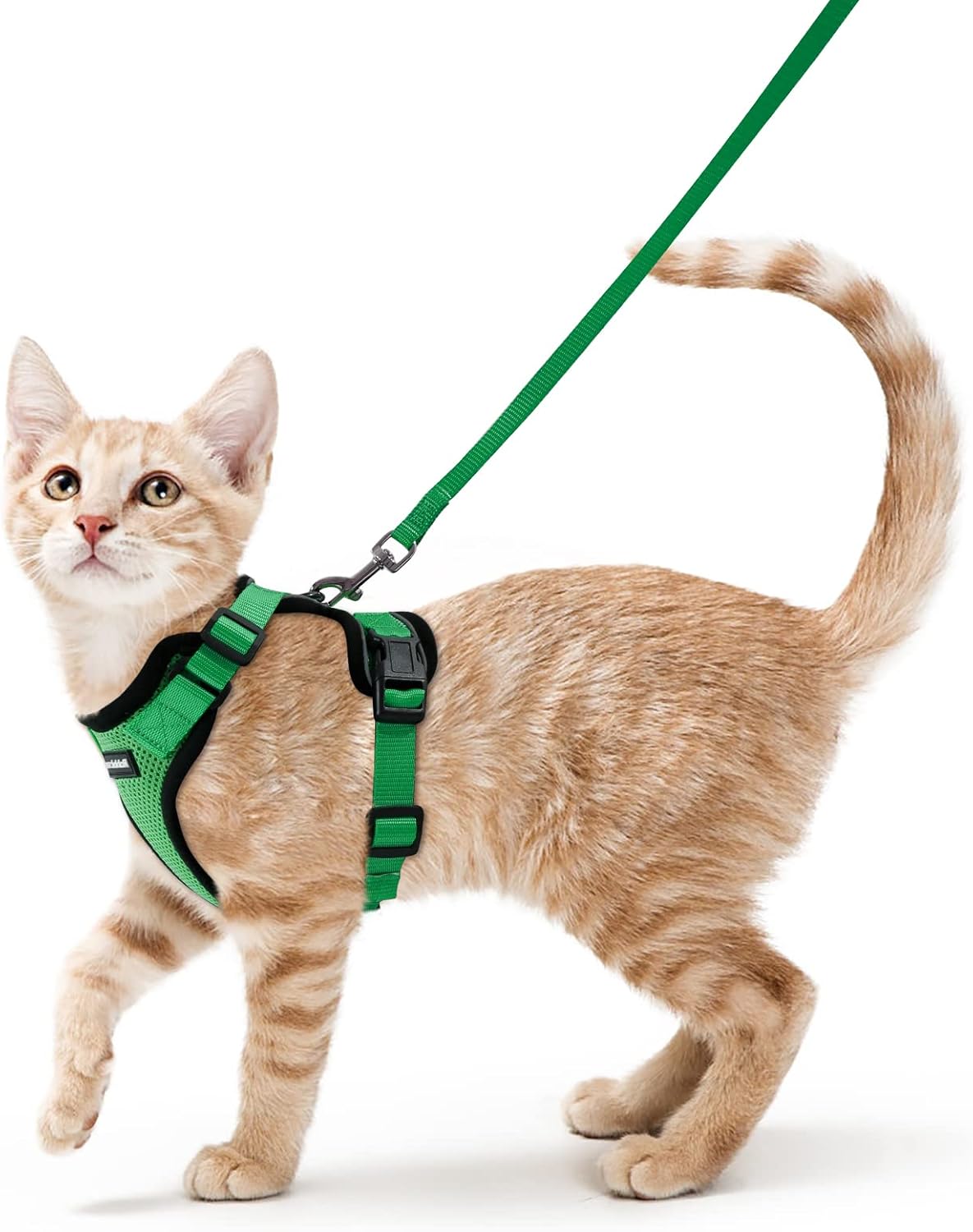 rabbitgoo Cat Harness and Leash for Walking, Escape Proof Soft Adjustable Vest Harnesses for Small Medium Cats, Easy Control Breathable Reflective Strips Jacket, XS, Black - PuriLite
