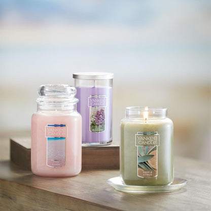 Yankee Candle Scented Candle, Sage & Citrus, Original Large Jar Candle, 110-150 Hours of Burn Time, 22 oz. - PuriLite