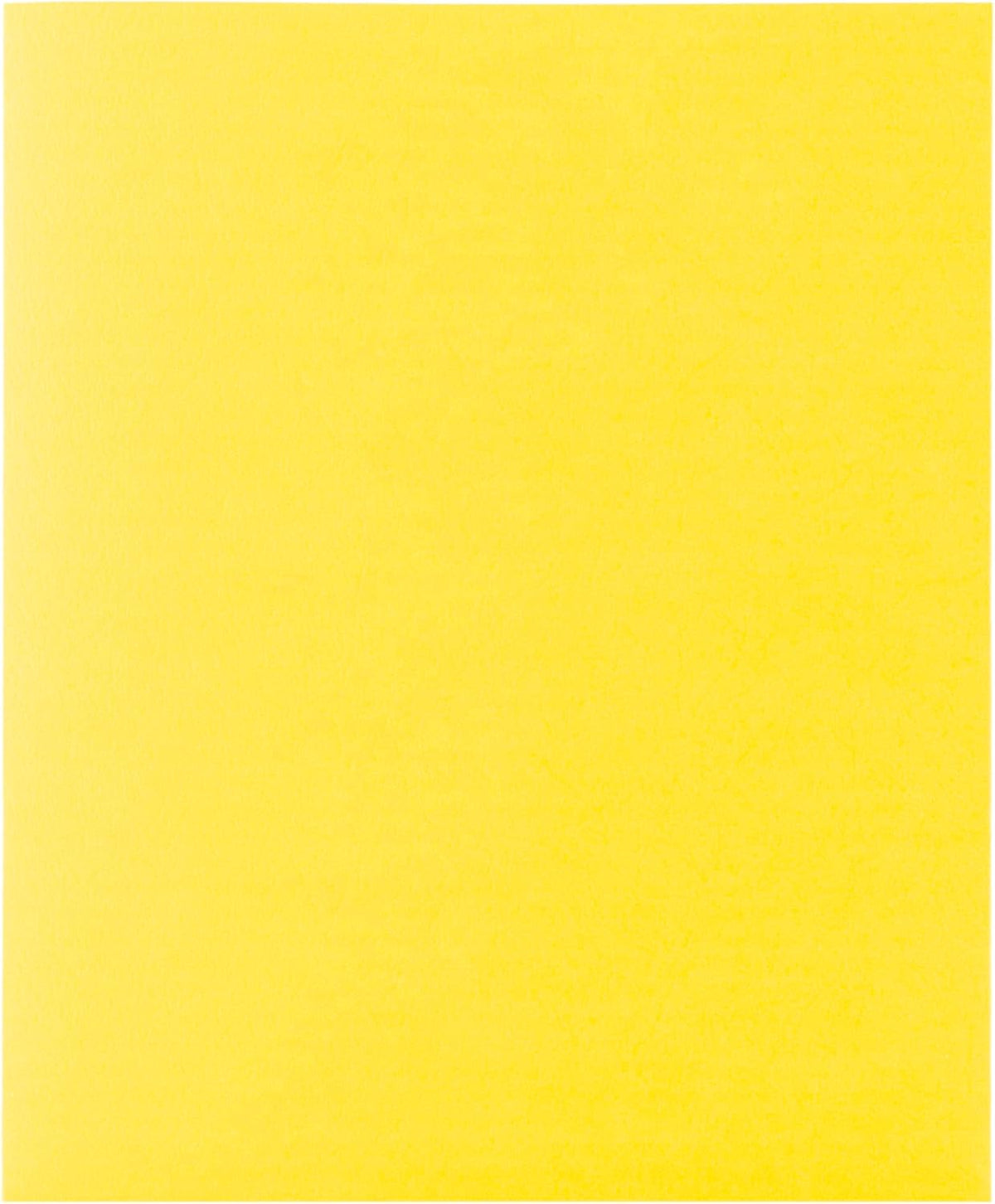 Hilroy Twin Pocket Portfolios, 9.5" x 11.75", 4-Pack, Assorted Colours (06042) - PuriLite