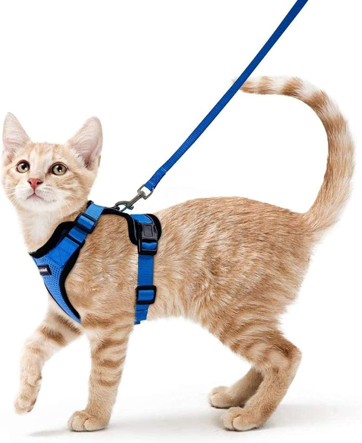 rabbitgoo Cat Harness and Leash for Walking, Escape Proof Soft Adjustable Vest Harnesses for Small Medium Cats, Easy Control Breathable Reflective Strips Jacket, XS, Black - PuriLite