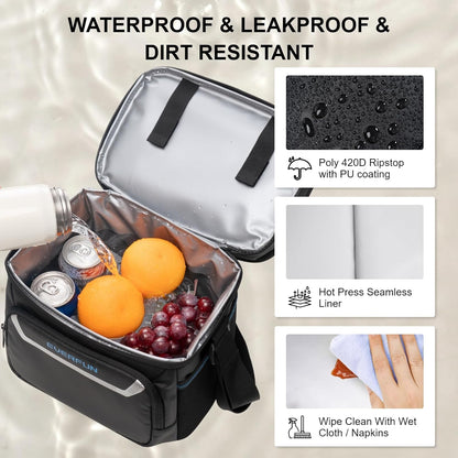 EVERFUN Cooler Bag Insulated Beach Cooler Lunch Bag Box for Men Women Dual Compartments Collapsible Waterproof Leak-Proof for Travel Work Picnic - PuriLite