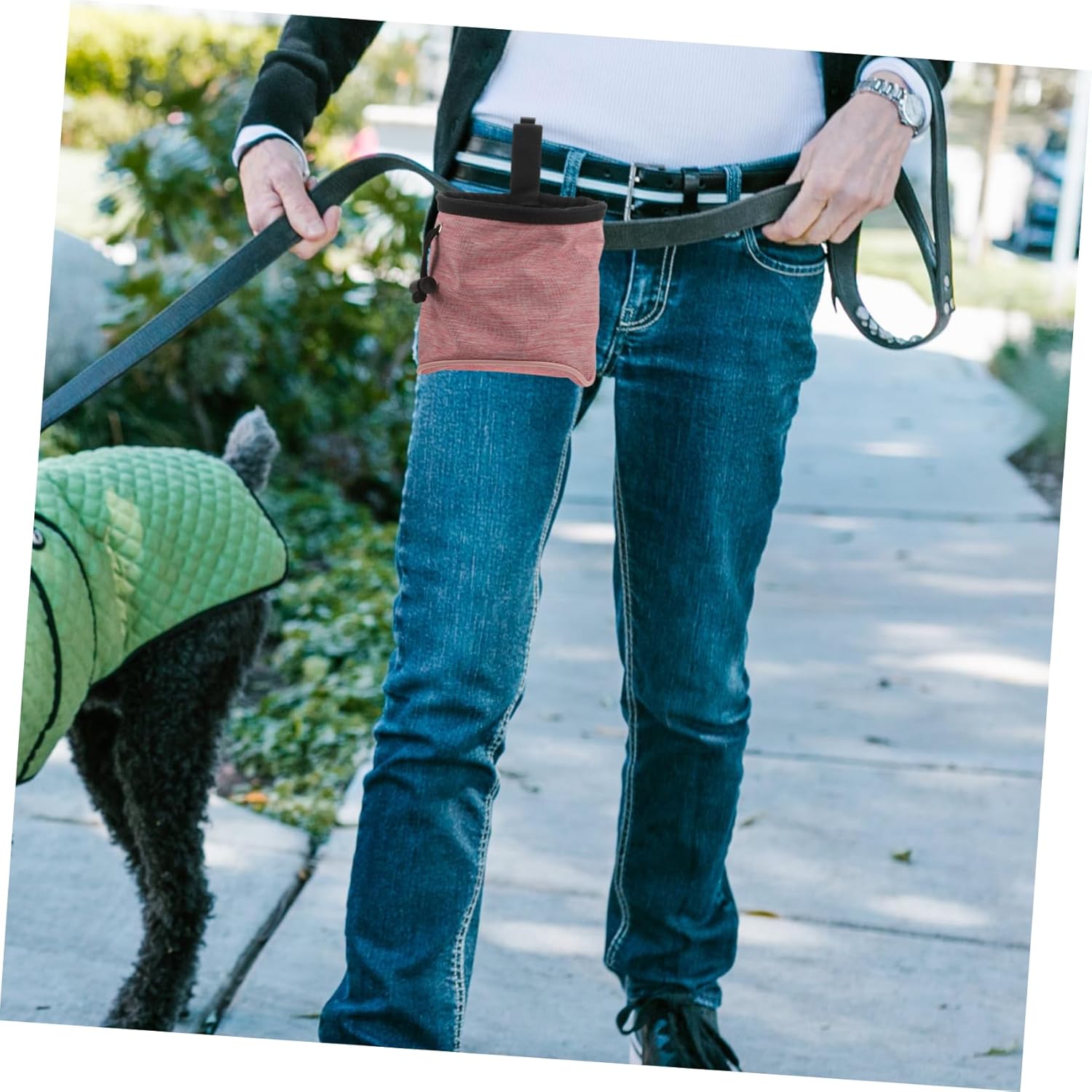 VERDANVERSE Dog Treat Pouch for Outdoor Walks Kibble Pouch Pet Treat Training Snack Bag - PuriLite