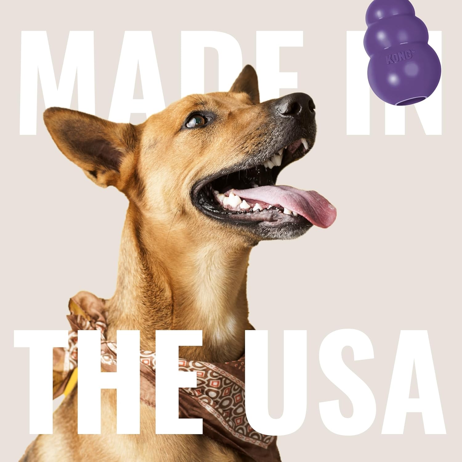 KONG Senior Dog Toy Gentle Natural Rubber -Fun to Chew, Chase & Fetch- For Medium Dogs - PuriLite