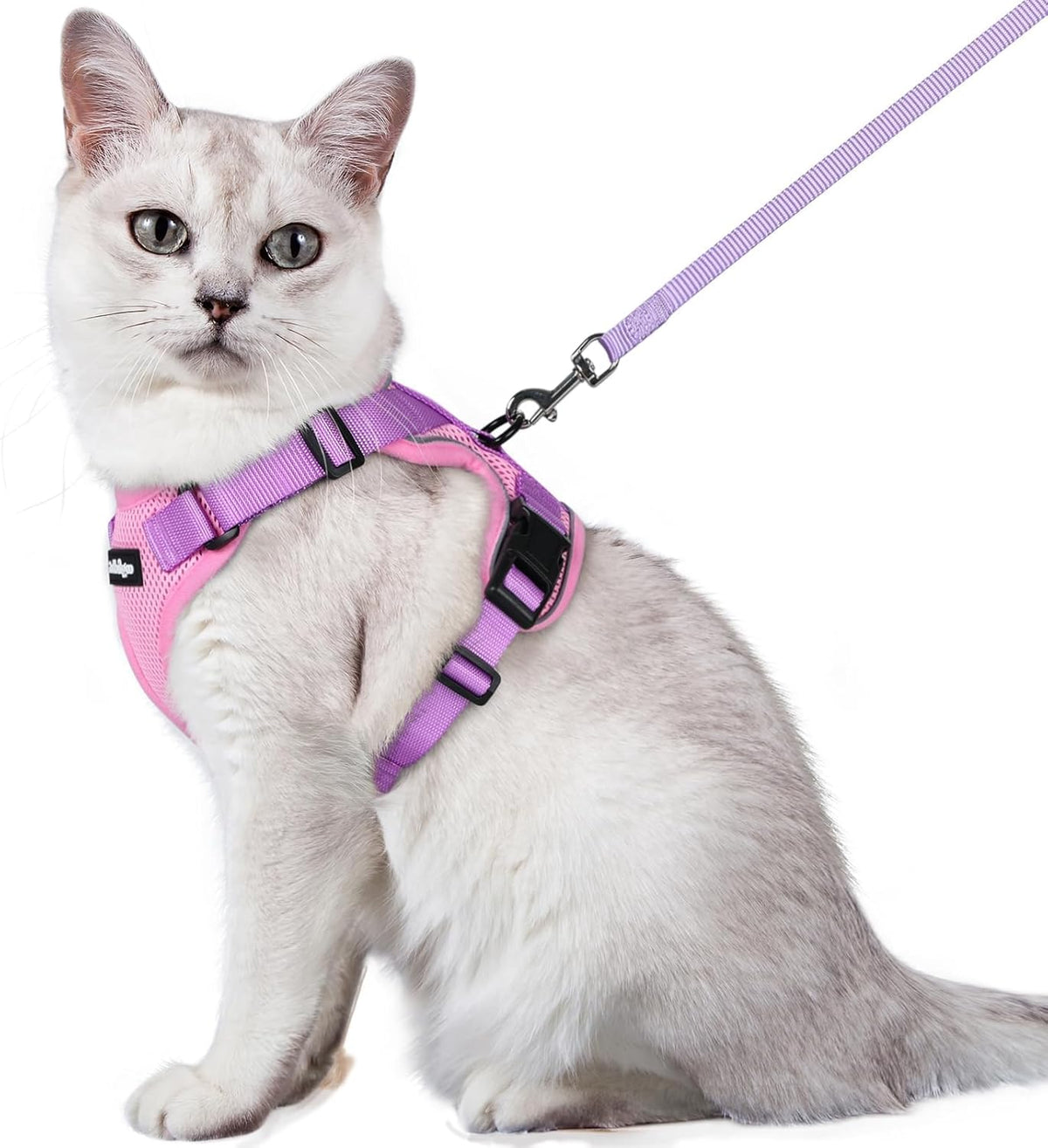 rabbitgoo Cat Harness and Leash for Walking, Escape Proof Soft Adjustable Vest Harnesses for Small Medium Cats, Easy Control Breathable Reflective Strips Jacket, XS, Black - PuriLite