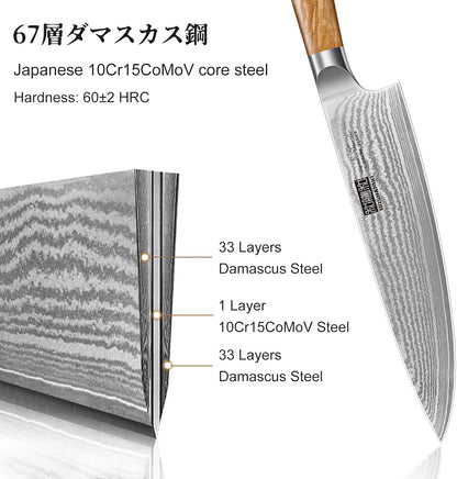 HOSHANHO Damascus Fillet Knife 7 Inch, Professional VG-10 Super Steel Boning Knife, Ultra Sharp Fish Knife with Ergonomic Handle - PuriLite