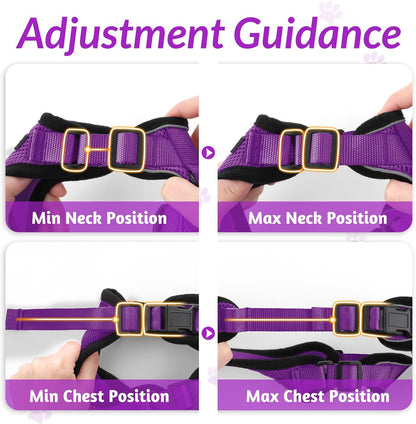 rabbitgoo Cat Harness and Leash for Walking, Escape Proof Soft Adjustable Vest Harnesses for Small Medium Cats, Easy Control Breathable Reflective Strips Jacket, XS, Black - PuriLite