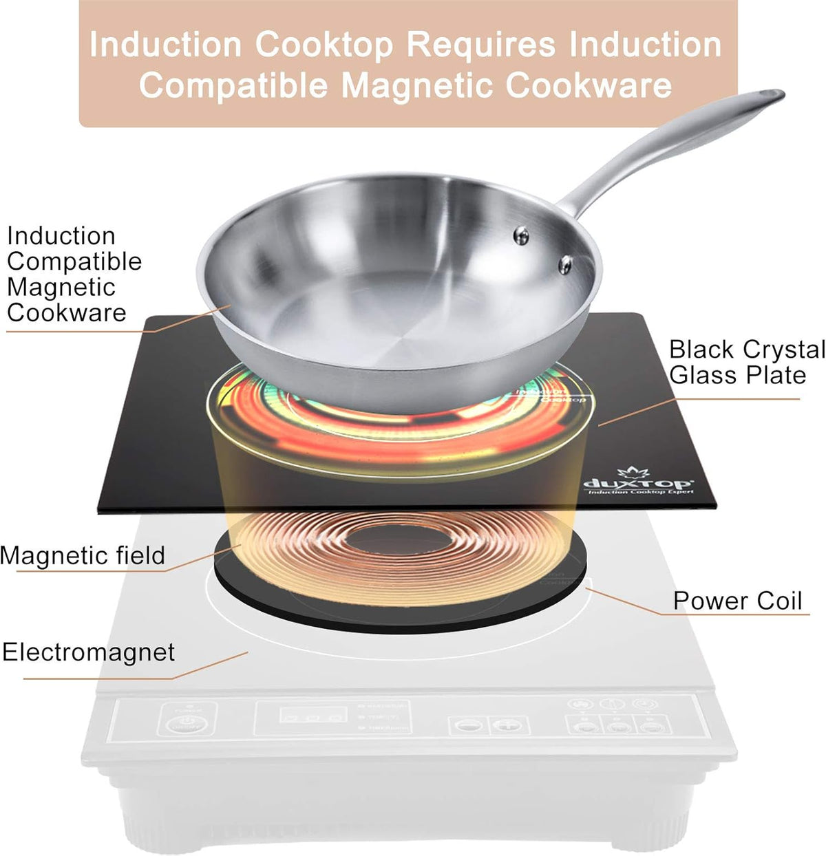 Duxtop 1800W Portable Induction Cooktop Countertop Burner, Gold 8100MC/BT-180G3 - PuriLite