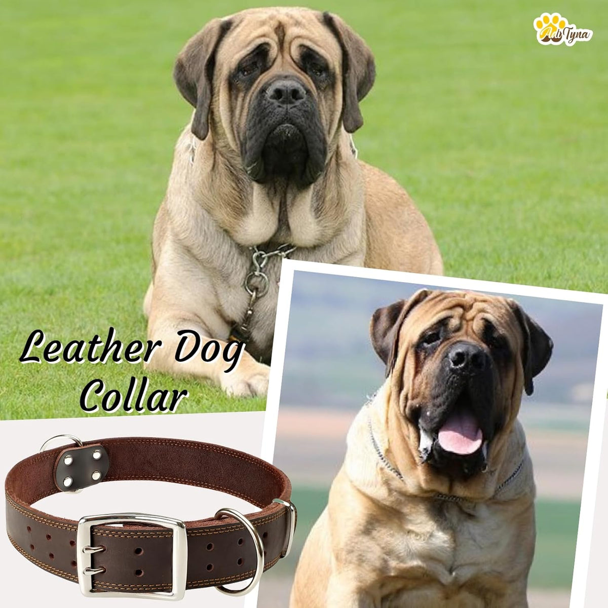 ADITYNA Heavy-Duty Leather Dog Collar for Medium Dogs - Soft and Strong, 100% Genuine Leather - Collier Pour Chien (Medium: Fit 13" - 20" Neck, Brown) - PuriLite