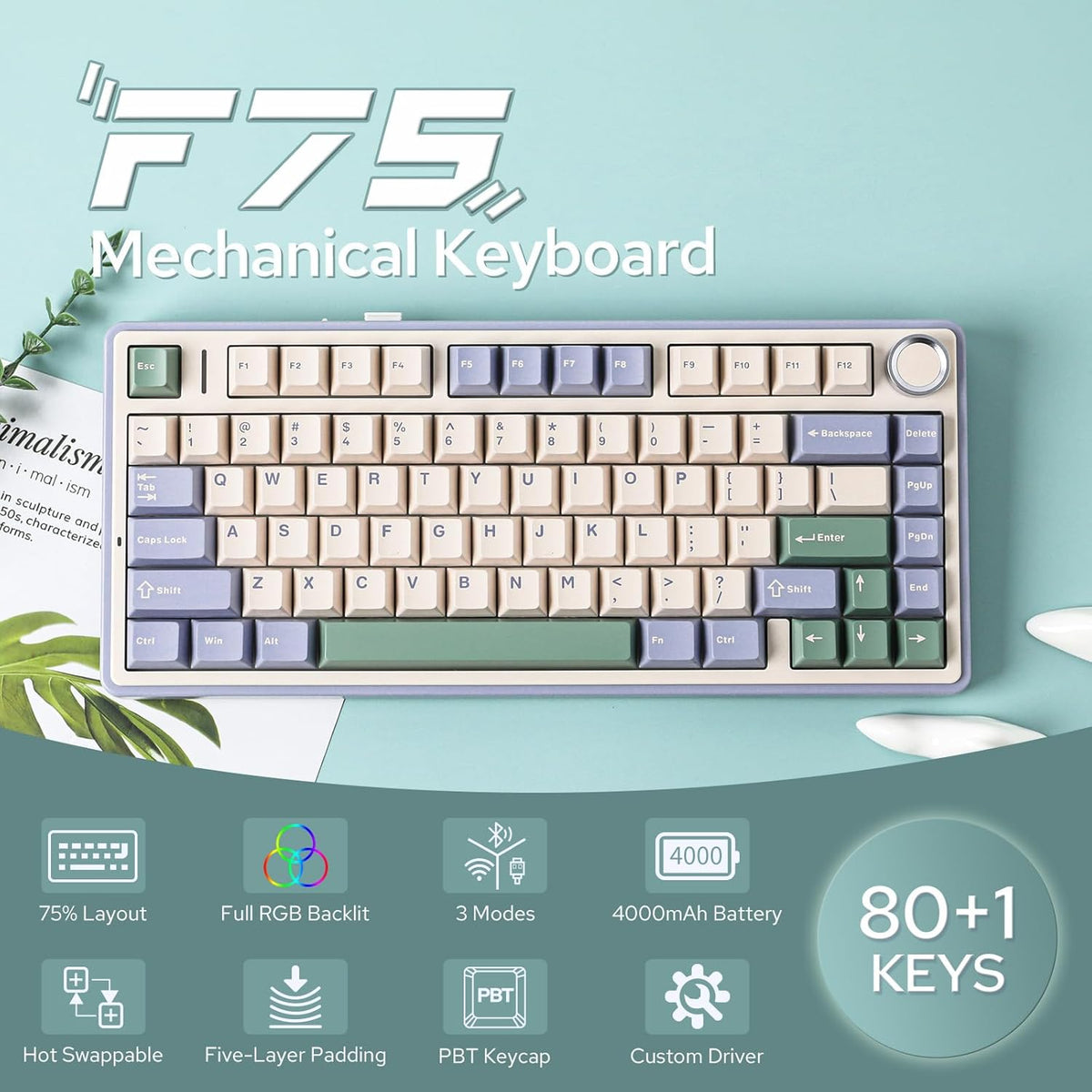 EPOMAKER x Aula F75 Gasket Mechanical Keyboard, 75% Wireless Hot Swappable Gaming Keyboard with Five-Layer Padding&Knob, Bluetooth/2.4GHz/USB-C, RGB (Black Gradient, LEOBOG Reaper Switch) - PuriLite
