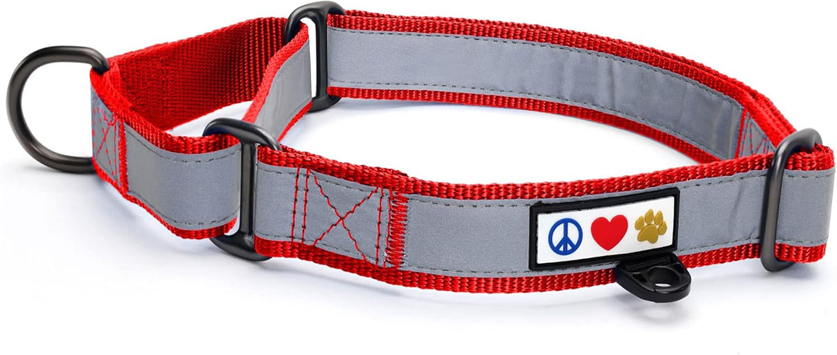 Pawtitas Chain Martingale Dog Collar Puppy Collar Reflective Dog Collar Training Dog Collar Behavioral Dog Chain Collar Collar Large Dog Collar Orange Dog Collar - PuriLite