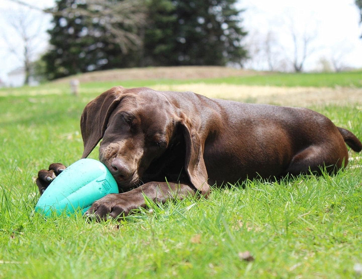 Chew King Premium Treat Dog Toy, L, Extremely Durable Natural Rubber Toy, Pack of 2 - PuriLite