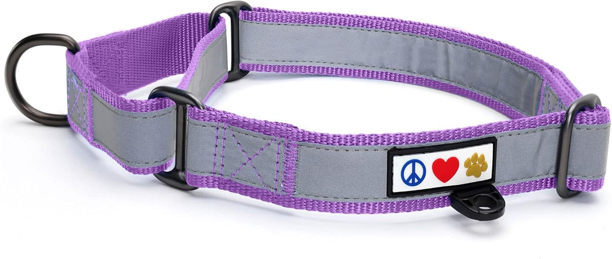 Pawtitas Chain Martingale Dog Collar Puppy Collar Reflective Dog Collar Training Dog Collar Behavioral Dog Chain Collar Collar Large Dog Collar Orange Dog Collar - PuriLite