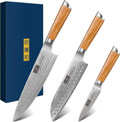 HOSHANHO Damascus Fillet Knife 7 Inch, Professional VG-10 Super Steel Boning Knife, Ultra Sharp Fish Knife with Ergonomic Handle - PuriLite