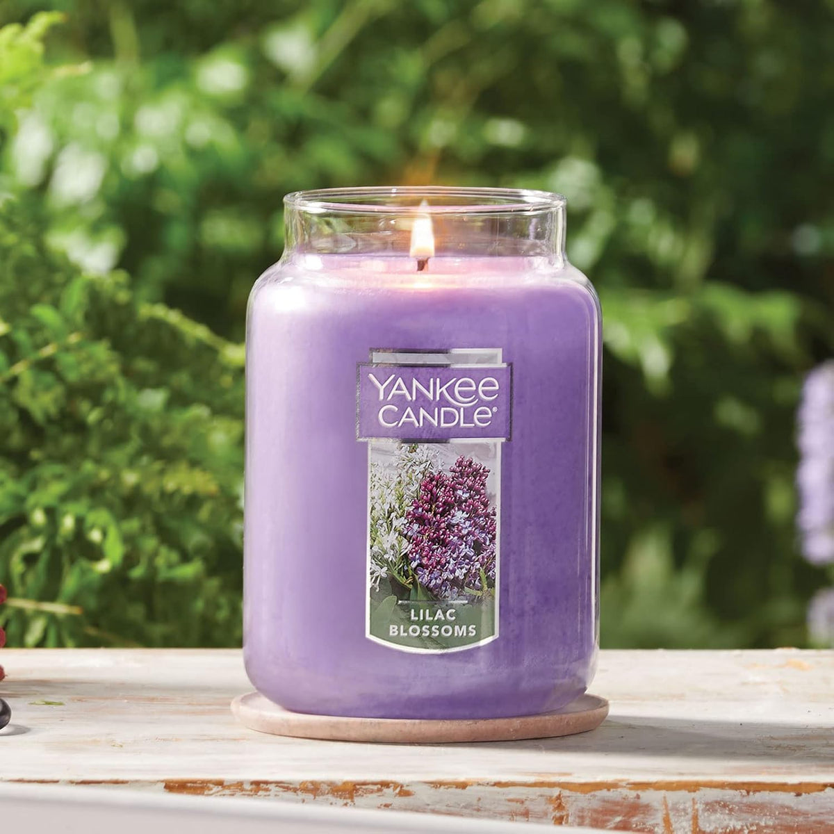 Yankee Candle Scented Candle, Sage & Citrus, Original Large Jar Candle, 110-150 Hours of Burn Time, 22 oz. - PuriLite