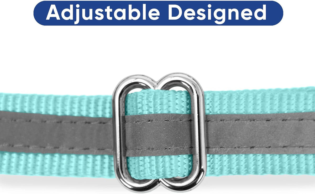 Pawtitas Chain Martingale Dog Collar Puppy Collar Reflective Dog Collar Training Dog Collar Behavioral Dog Chain Collar Collar Large Dog Collar Orange Dog Collar - PuriLite