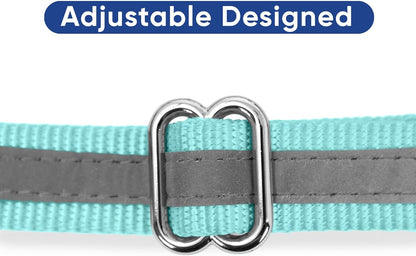 Pawtitas Chain Martingale Dog Collar Puppy Collar Reflective Dog Collar Training Dog Collar Behavioral Dog Chain Collar Collar Large Dog Collar Orange Dog Collar - PuriLite