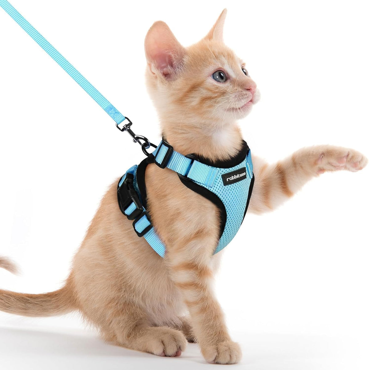 rabbitgoo Cat Harness and Leash for Walking, Escape Proof Soft Adjustable Vest Harnesses for Small Medium Cats, Easy Control Breathable Reflective Strips Jacket, XS, Black - PuriLite