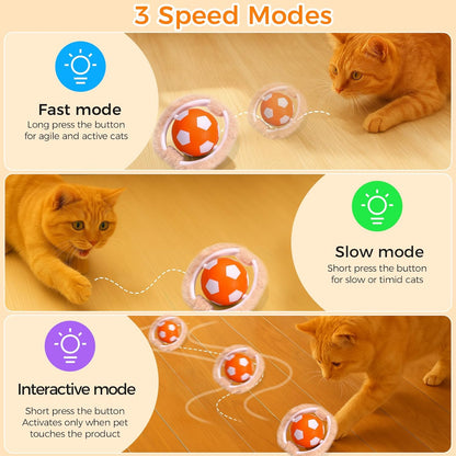 VIWIK Interactive Cat Toys for Indoor Cats, Hide and Seek Mouse Catching Game Cat Ball Toy, Automatic Motion Activated Kitten Toys, Low Noise Fast Rolling Ball in Play Mat for Bored Adult Cats - PuriLite