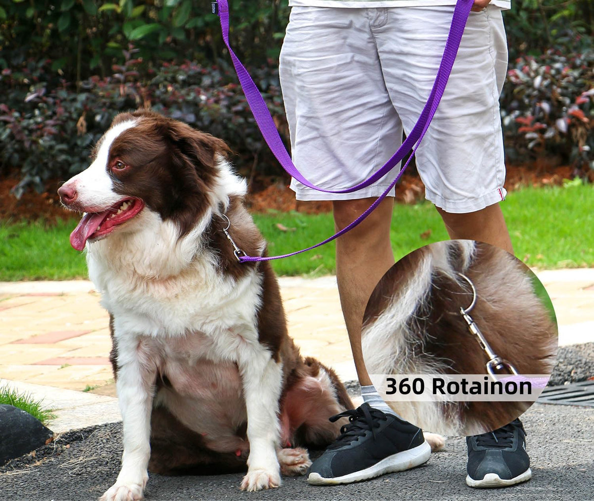 AMAGOOD Dog/Puppy Obedience Recall Training Agility Lead-15 ft 20 ft 30 ft 50 ft Long Leash-for Dog Training,Tie Out,Play,Safety,Camping (15 feet, Black) - PuriLite