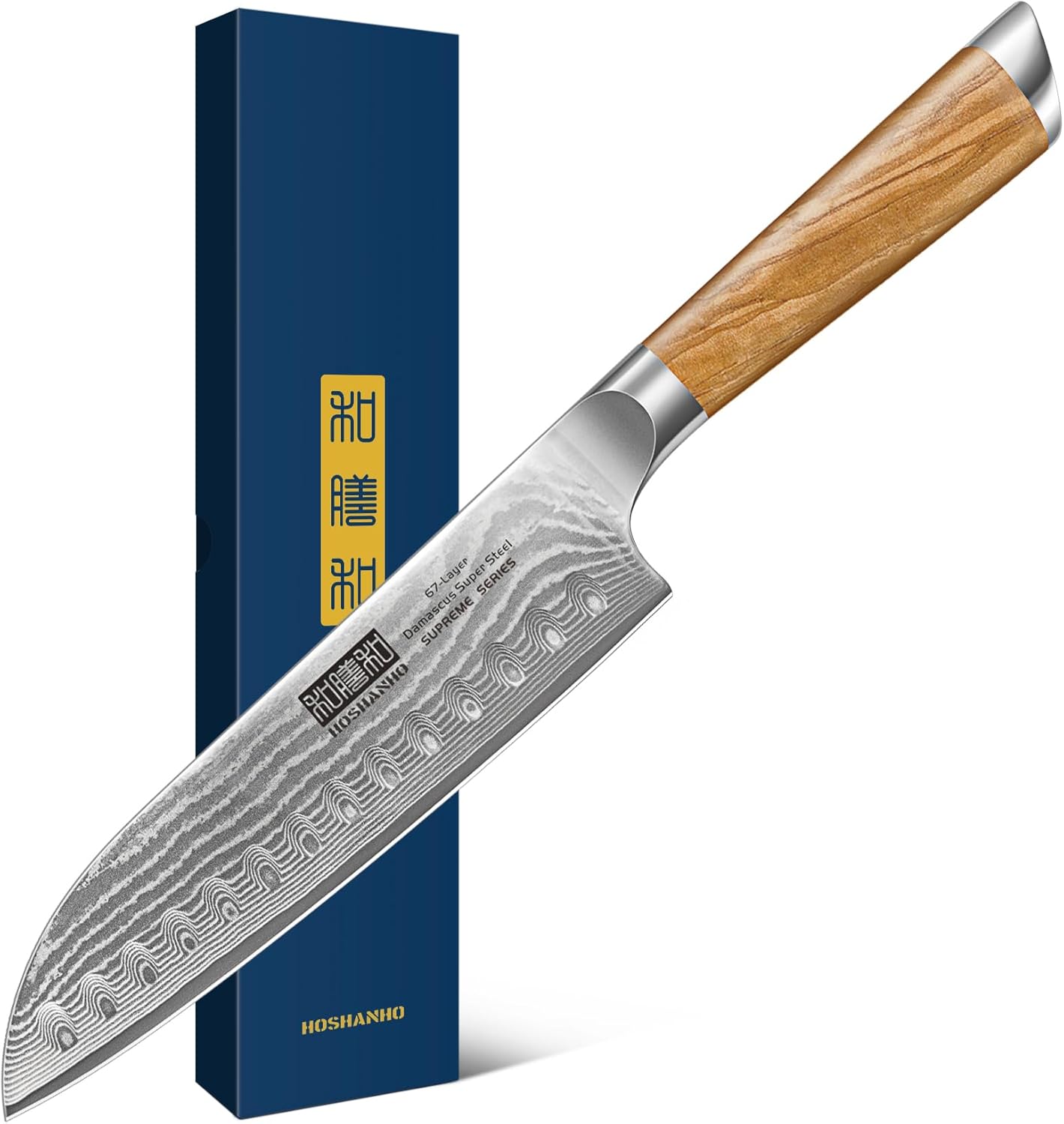 HOSHANHO Damascus Fillet Knife 7 Inch, Professional VG-10 Super Steel Boning Knife, Ultra Sharp Fish Knife with Ergonomic Handle - PuriLite