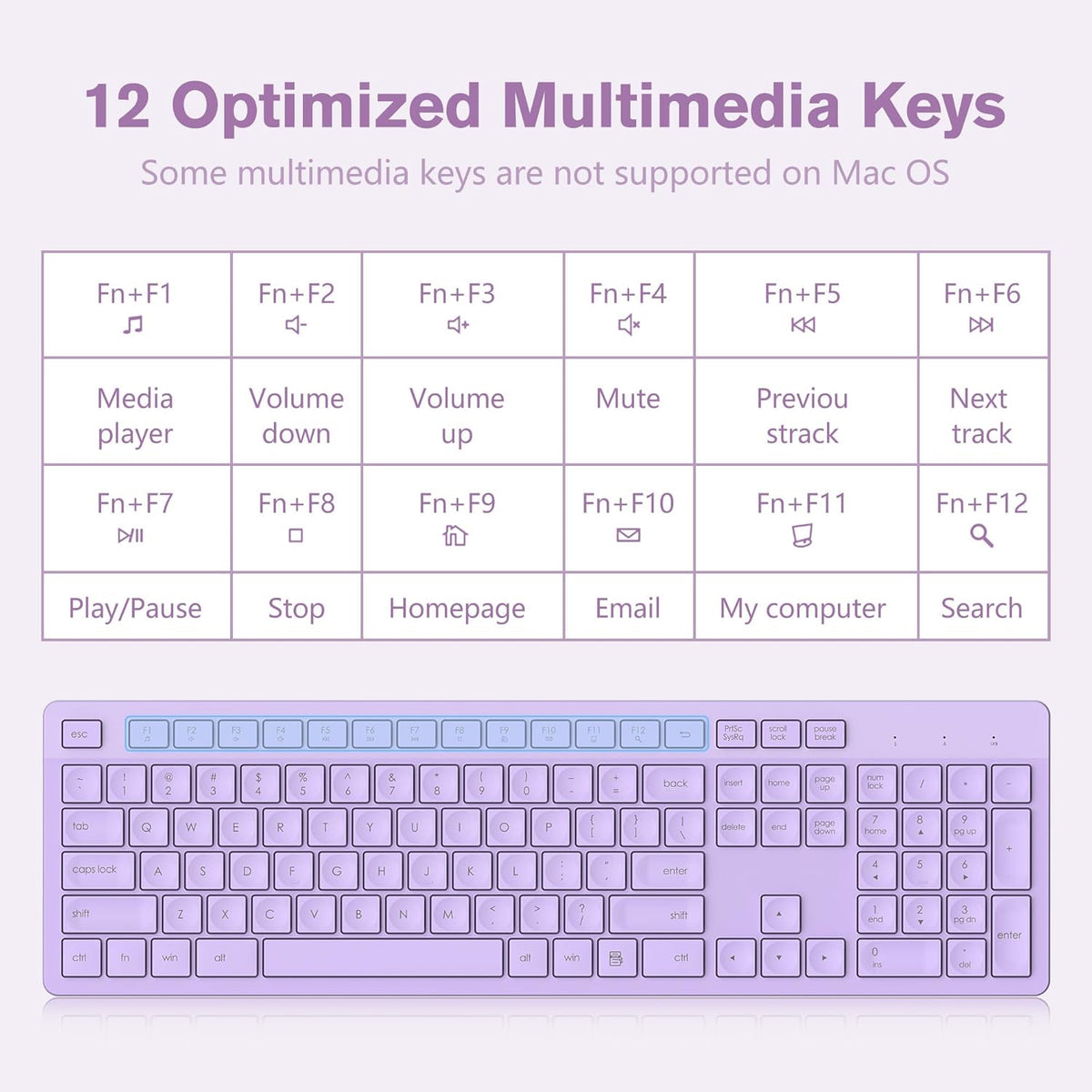 LeadsaiL Wireless Keyboard | Ergonomic Keyboard | Full-Sized Keyboard | Noiseless Keyboard | 2.4GHz Wireless Keyboard | USB Keyboard - PuriLite