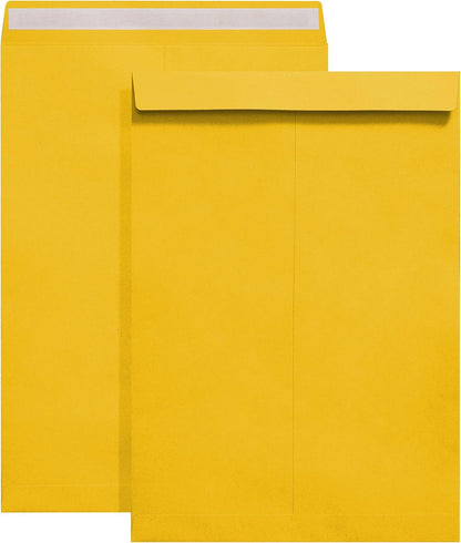 Tanshuqin 9" x 12.75" Self-Seal Catalog Envelopes 32lb Kraft Envelopes for Invitation Cards, Organizing and Storage, Pictures, Photos, Documents (100 PCS) - PuriLite