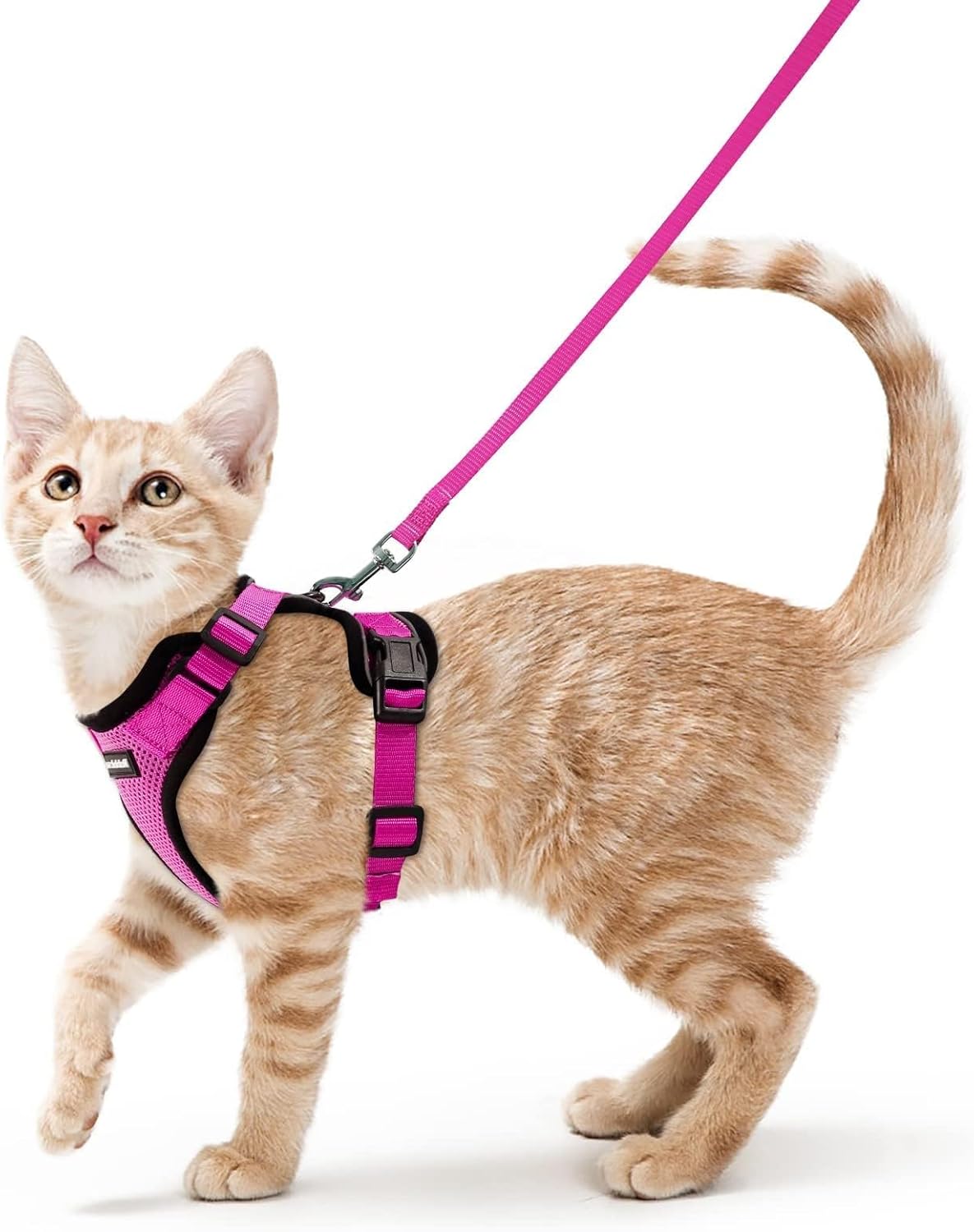 rabbitgoo Cat Harness and Leash for Walking, Escape Proof Soft Adjustable Vest Harnesses for Small Medium Cats, Easy Control Breathable Reflective Strips Jacket, XS, Black - PuriLite