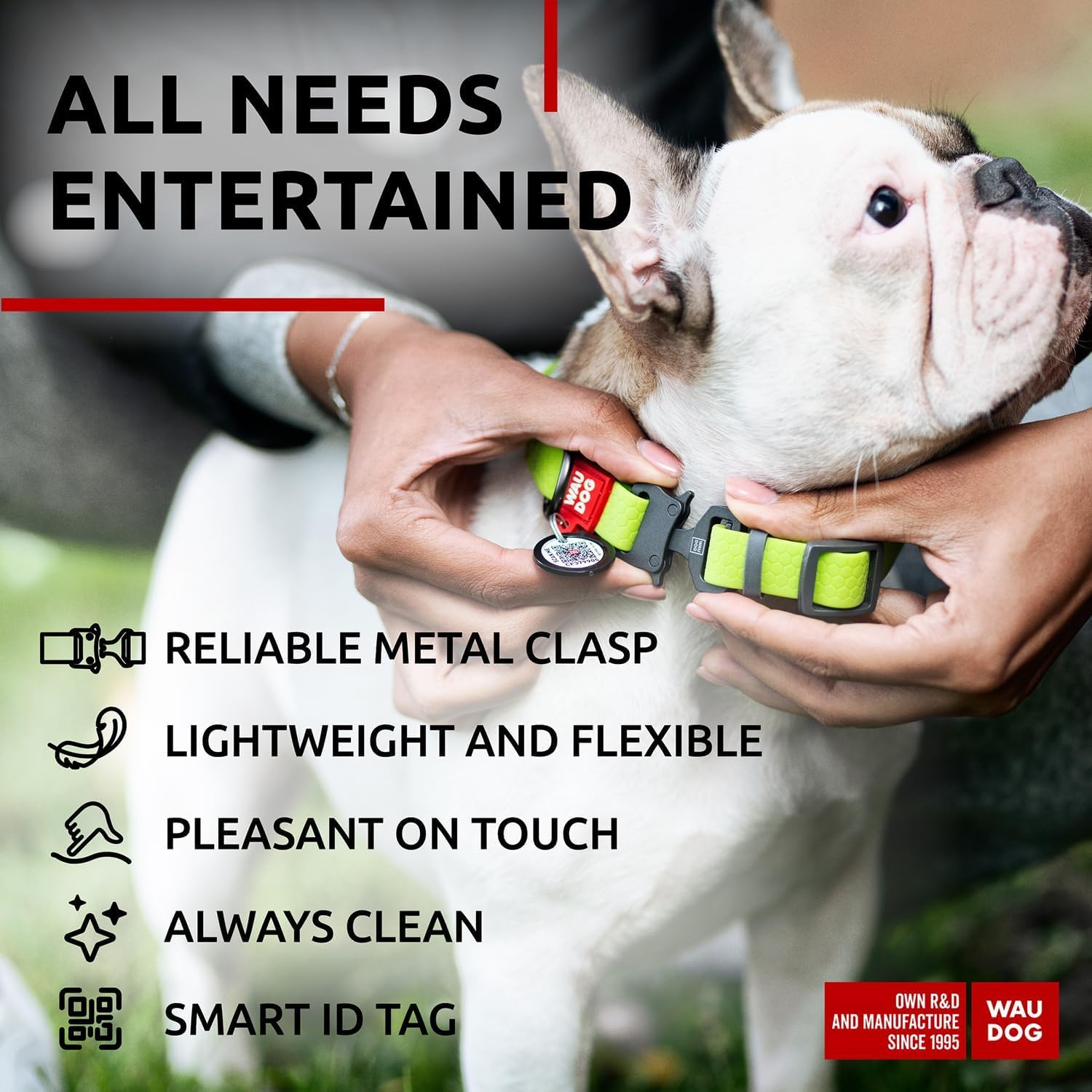 Waterproof Dog Collar - Adjustable Glow Dog Collar for Large Dogs, Small and Medium Dogs - Heavy Duty Dog Collars with Durable Metal Clasp and QR Dog Tag - Glow in The Dark Dog Collars - PuriLite