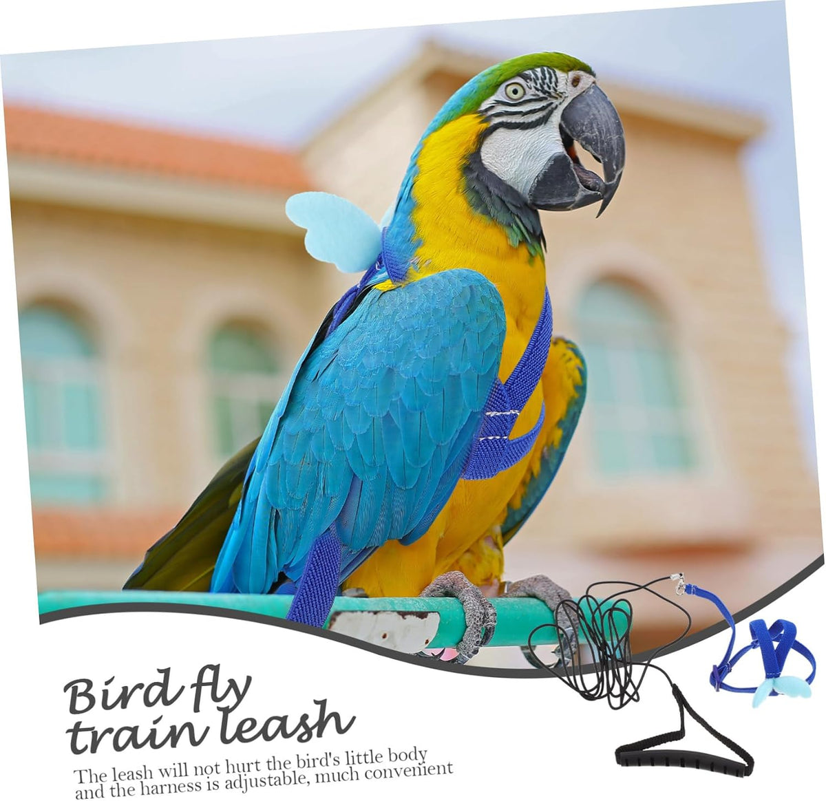 BESPORTBLE 4pcs Bird Training Rope Parrot Harness Leash for Pet Supply Training Harness Set for Small Birds
