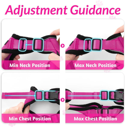 rabbitgoo Cat Harness and Leash for Walking, Escape Proof Soft Adjustable Vest Harnesses for Small Medium Cats, Easy Control Breathable Reflective Strips Jacket, XS, Black - PuriLite