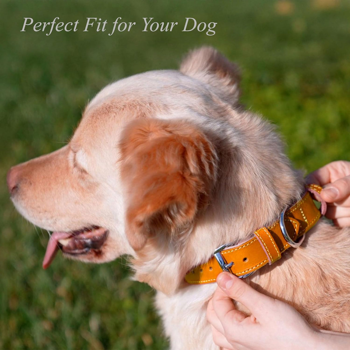 TORRUNA Soft Leather Dog Collar | Dog Collars for Small, Medium and Large Dogs | Durable Heavy Duty Dog Collars - PuriLite