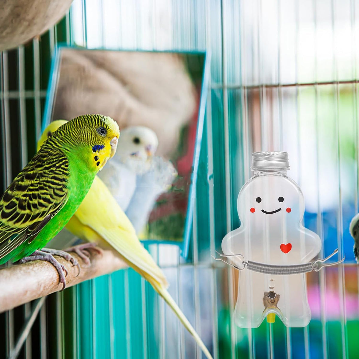 5pcs Bird Water Feeder with Christmas Party Decorations for Cage, 480