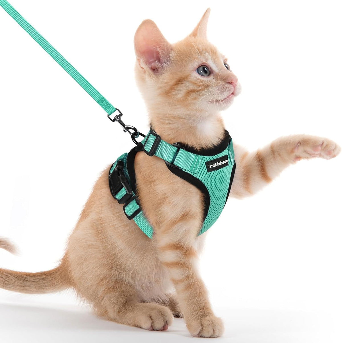 rabbitgoo Cat Harness and Leash for Walking, Escape Proof Soft Adjustable Vest Harnesses for Small Medium Cats, Easy Control Breathable Reflective Strips Jacket, XS, Black - PuriLite