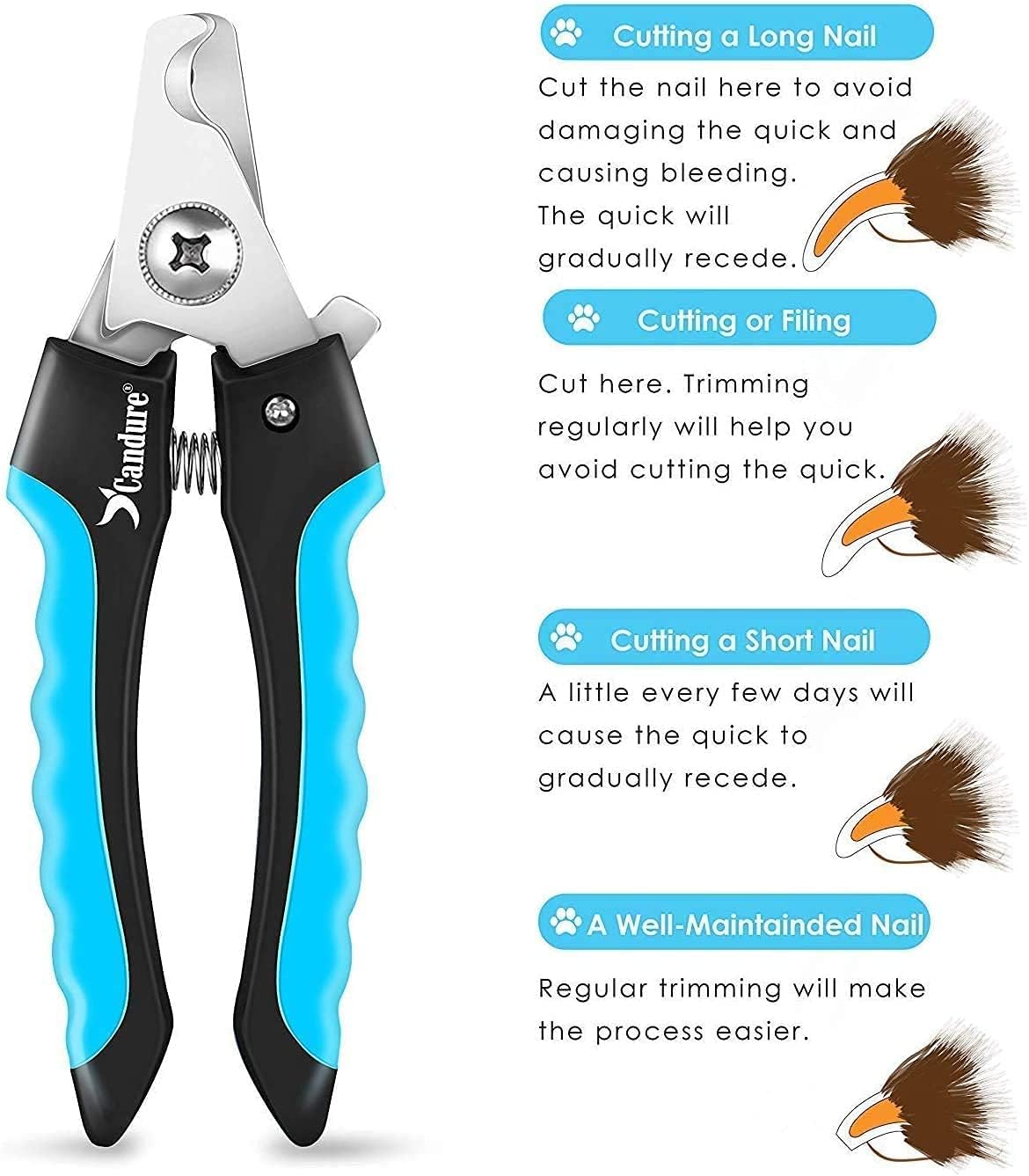 Candure Cat Nail Clippers Stainless Steel Cat Claw Trimmers for Rabbits,Guinea Pigs, Birds, Puppies, Kittens and Small Animals- Pet Nail Clippers for Professional and Home Use (Black) - PuriLite