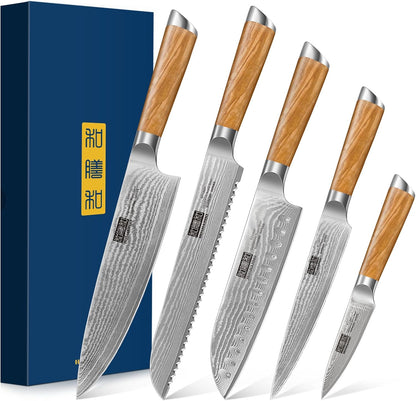 HOSHANHO Damascus Fillet Knife 7 Inch, Professional VG-10 Super Steel Boning Knife, Ultra Sharp Fish Knife with Ergonomic Handle - PuriLite