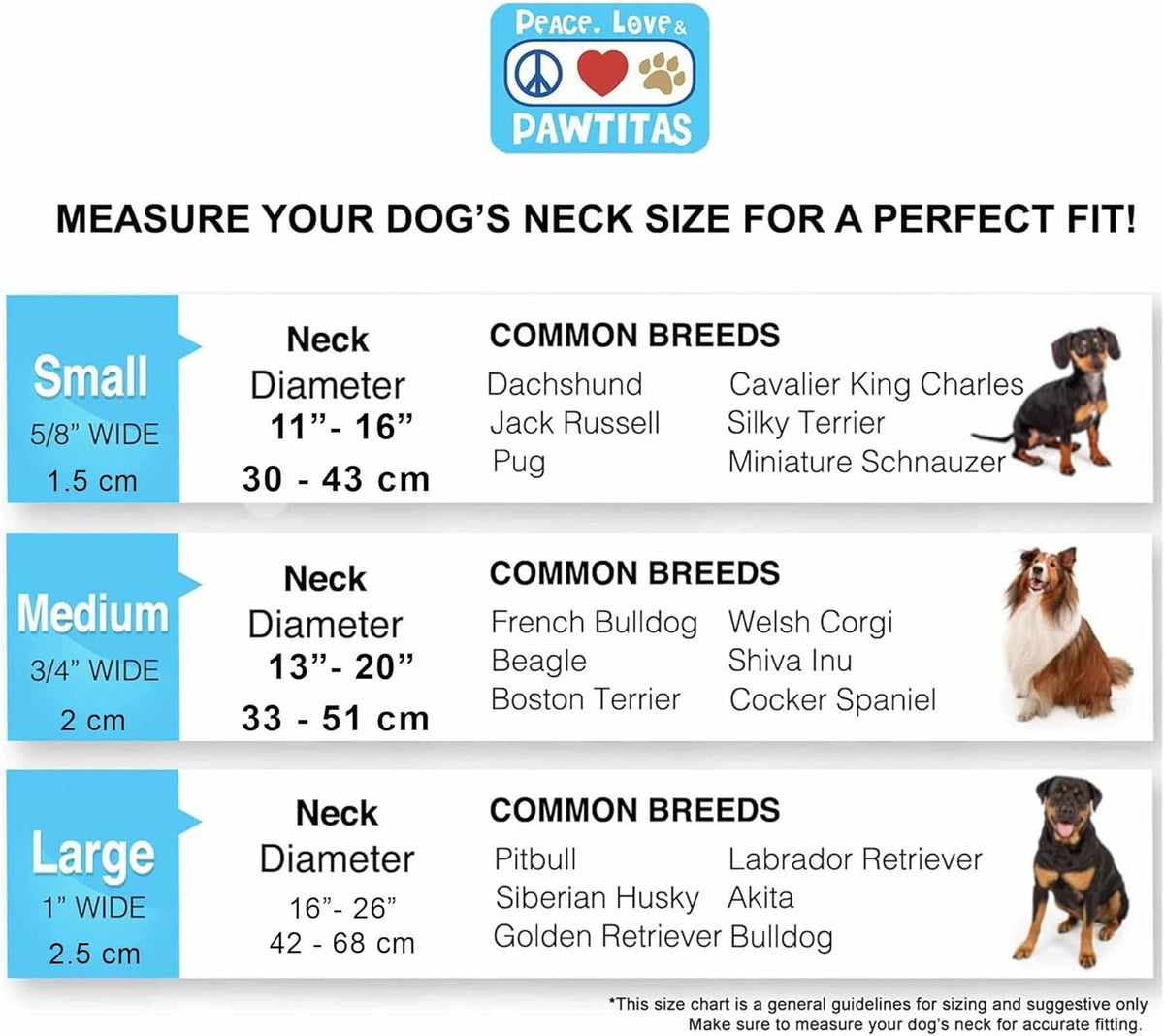Pawtitas Chain Martingale Dog Collar Puppy Collar Reflective Dog Collar Training Dog Collar Behavioral Dog Chain Collar Collar Large Dog Collar Orange Dog Collar - PuriLite
