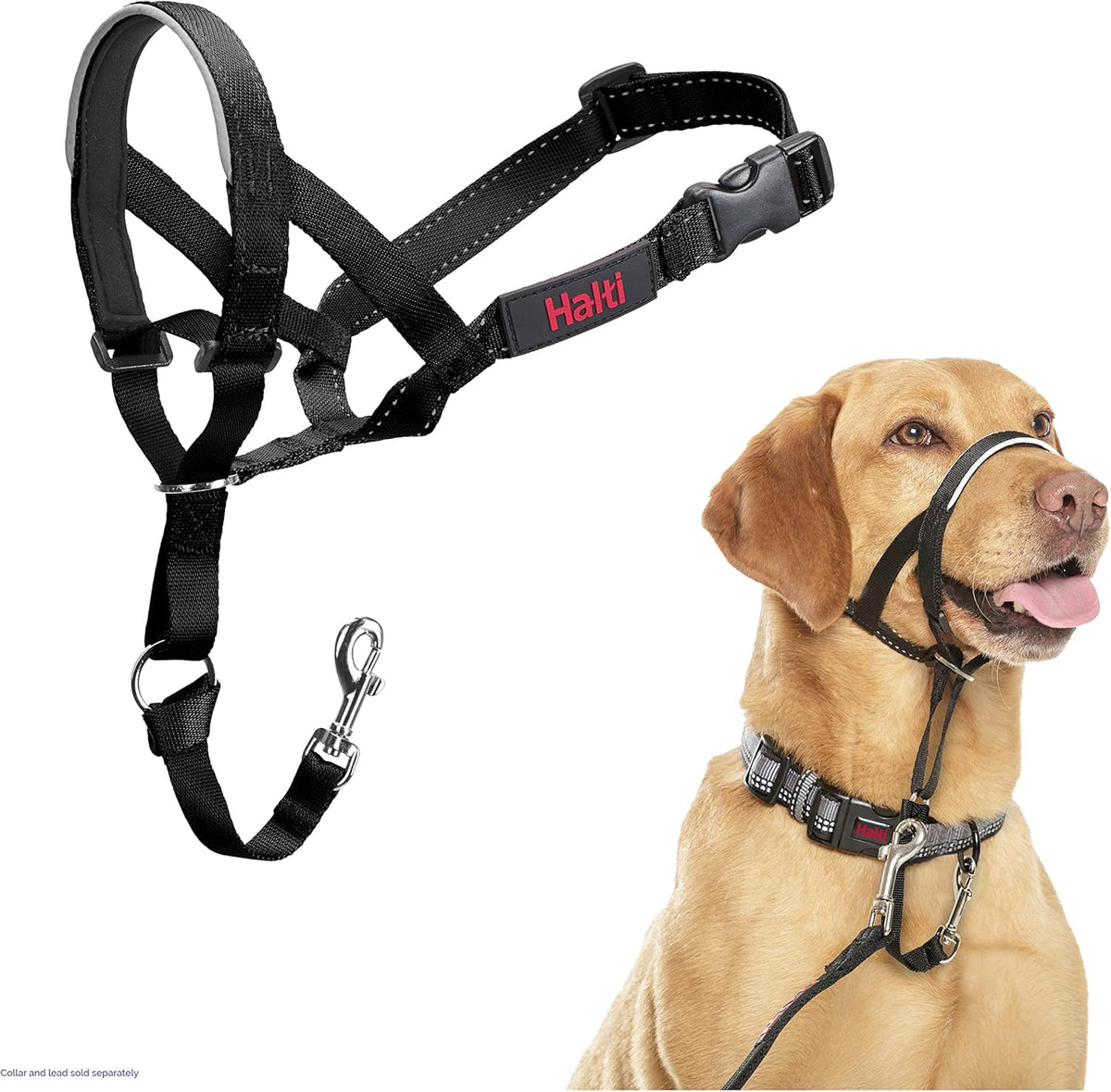 HALTI Headcollar - To Stop Your Dog Pulling on the Leash. Adjustable, Reflective and Lightweight, with Padded Nose Band. Dog Training Anti-Pull Collar for Medium Dogs (Size 3, Black) - PuriLite