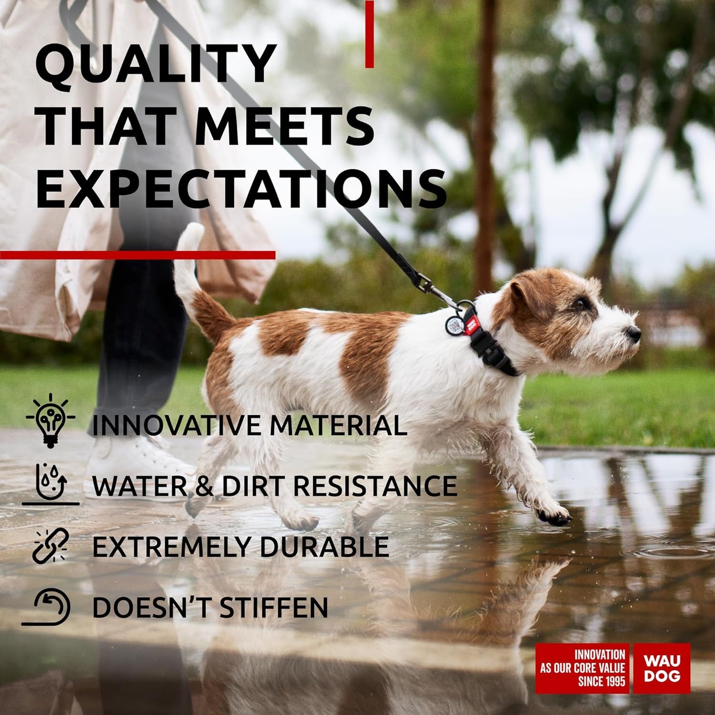 Waterproof Dog Collar - Adjustable Glow Dog Collar for Large Dogs, Small and Medium Dogs - Heavy Duty Dog Collars with Durable Metal Clasp and QR Dog Tag - Glow in The Dark Dog Collars - PuriLite