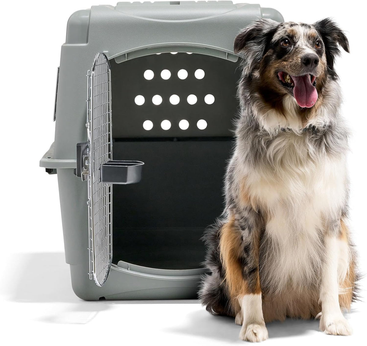 Petmate 00200 Sky Kennel for Pets from 25 to 30-Pound, Light Gray - PuriLite