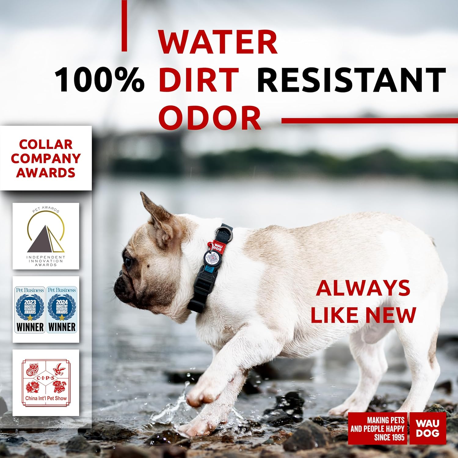 Waterproof Dog Collar - Adjustable Glow Dog Collar for Large Dogs, Small and Medium Dogs - Heavy Duty Dog Collars with Durable Metal Clasp and QR Dog Tag - Glow in The Dark Dog Collars - PuriLite